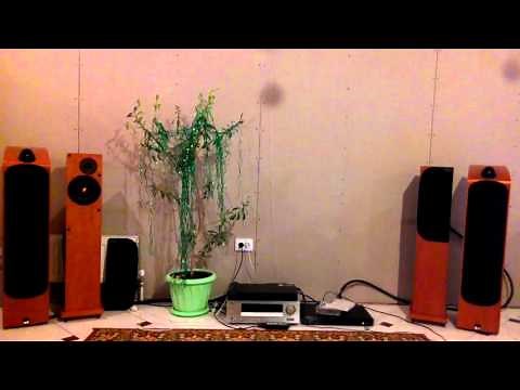 ProAc Response D15, Bryston B60