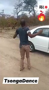 543K views · 2.6K reactions | Dance anywhere any time | Tsonga Dance Videos | Facebook