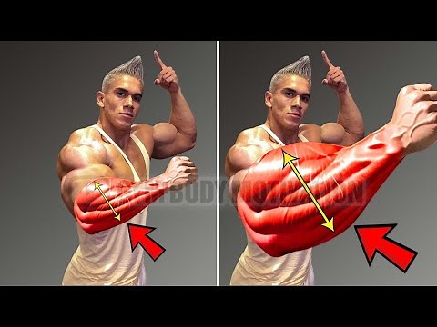Build Thick Forearms Fast – 6 Exercises to Boost Grip and Size!