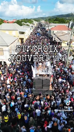 Don't miss St. Croix USVI Carnival December 26, 2025, to January 3, 2026 #usvi #stcroix #carnival #calypso #vi #abenatravelingworld #travel #beach | Naima Abena Martin
