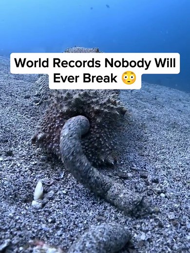World Records Nobody Will Ever Break 😳 #worldrecord #crazy #mindblowing #interesting #facts