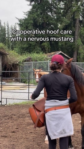 5.9K views · 255 reactions | Allowing for a sense of control in...