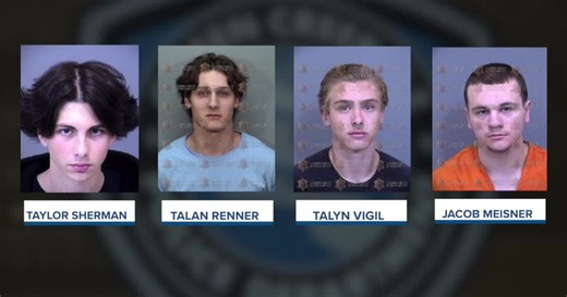 Court documents reveal new insight into Gilbert Goons investigation