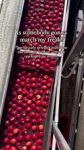 5.5K views · 99 reactions | At Cosmic Crisp®, we match your freak for #CosmicCrisp apples ❤️ Packers evaluate each apple by hand for quality & size variance and measure the sugar-starch levels to determine the time spent in cold storage. Once they reach peak flavor, only the best of the best are rinsed, packed & shipped to a grocery store near you. Find Cosmic Crisp® apples near you: https://bit.ly/BuyCosmic : IG User @applegirlkait | Cosmic Crisp Apple | Facebook