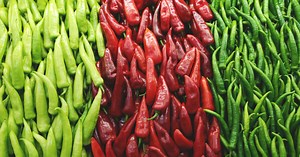 Comment conserver des piments ?