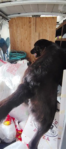 Cooper dog Thinks He's a Trash Compactor! 😂🐕