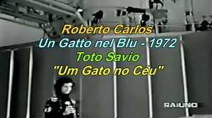 14K views · 1.4K reactions | Roberto Carlos - Un Gatto nel Blu (Letra/Tradução) 1972 | Marisa Prado | Facebook