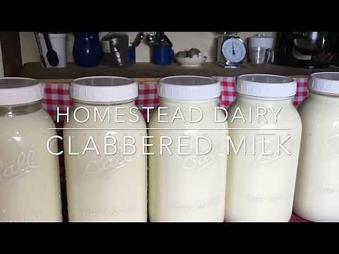 Homestead Dairy - Clabbered Milk