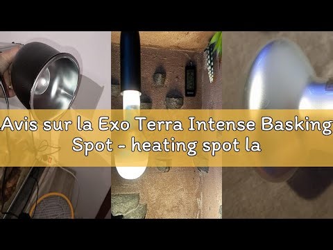 Avis sur la Exo Terra Intense Basking Spot - heating spot lamp