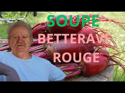 SOUPE DE BETTERAVE ROUGE