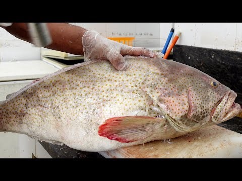 BIG Grouper Fish Cutting Skills 4K - How to clean fish