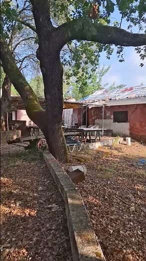 countryside Dassia, Corfu island, Greece