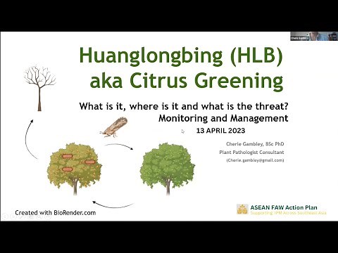 An Introduction to Huanglongbing (HLB) or Citrus Greening Disease