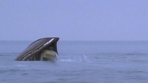 Watch The Ambassador Season 1 Episode 1 - Innocent Passage