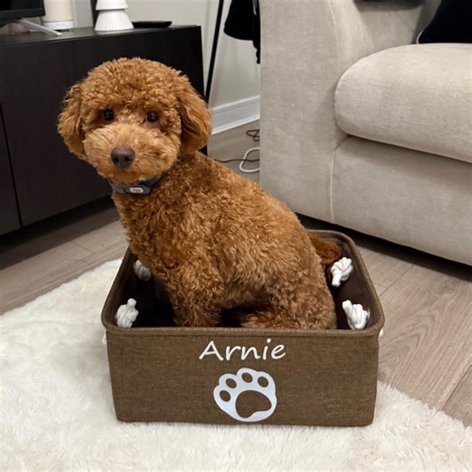 Personalised Dog Toy Storage Basket | Custom Name Toy Box | Dog Toy Organiser & Pet Gift | 6 Colours, 5 Designs, 3 Sizes - Etsy