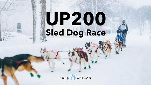 15K views · 396 reactions | Mush! The UP200 Sled Dog Race begins this...