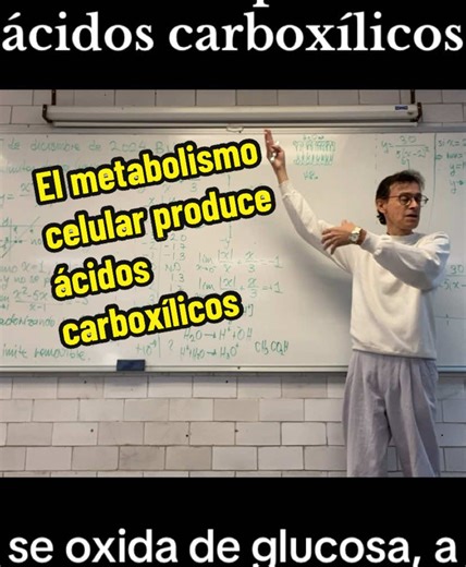 #metabolismo #oxidativo produce #ácidos #carboxílicos #aprendetiktok #ciencia #biologia #quimica #bioquimica #celula #celular #ciclo #krebs #oxidacion #acido #matematica #matematicas #matematicastiktok #azucar #glucosa #fructosa