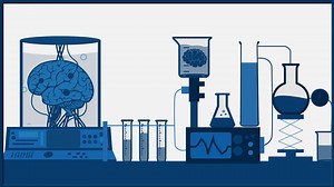 Moral Cognition - Ethics Unwrapped