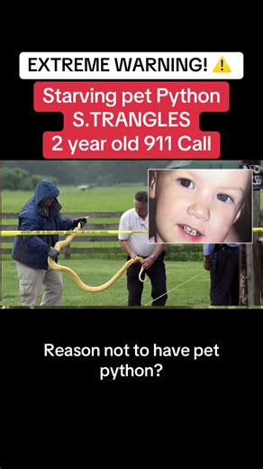 Pet Python Emergency: True Crime 911 Call Incident