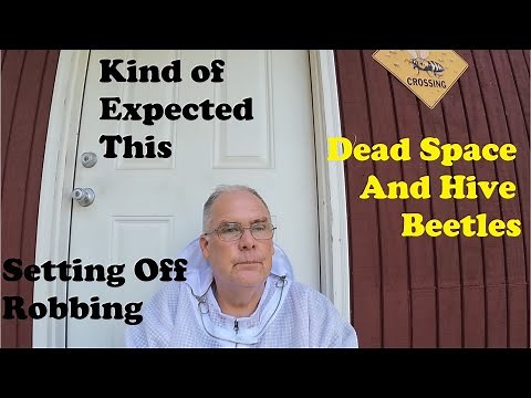 Working Thru Beekeeping Challenges | Losses Ain't Easy