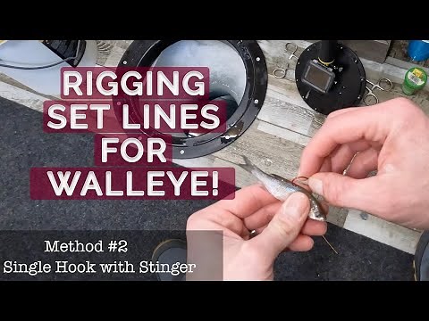 How to Bait a Rattle Reel Hook or Tip Up Ice Fishing for Walleye with a Shiner Minnow