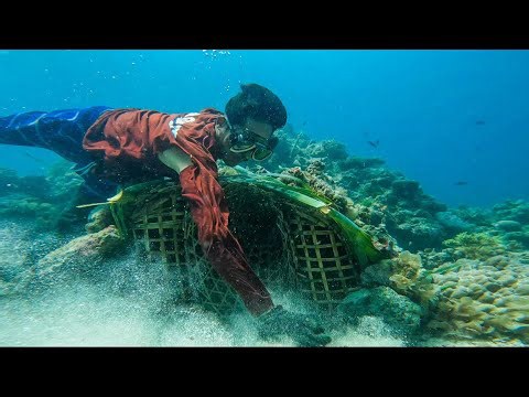 From the Sea to Cash: How I Made Quick Money Fishing