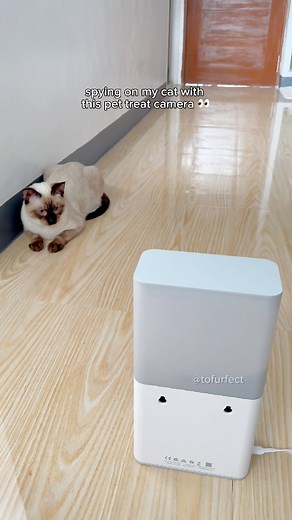spying on my cat with this pet treat camera 👀 #catreels #catsoffb #siamese #catcam #petcam #catlife #adventurecat #treats | TOFU