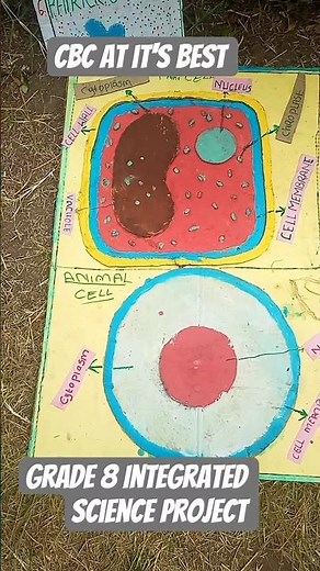 CBC Grade 8 Integrated Science Project #project#cbcproject#grade8