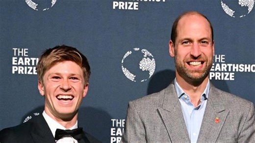 Prince William Makes 'Dancing With the Stars' Debut With a Message for Robert Irwin