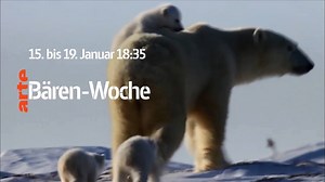 65K views · 1.3K reactions | Wohlfühl-Programm auf Arte: Heute...