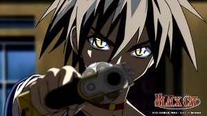 Official Black Cat Twitter Account Suddenly Appears