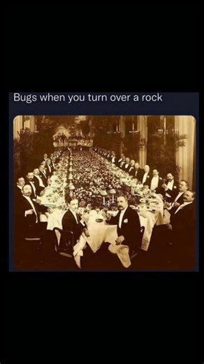 Johnny Bravo Explains Memes on Instagram: "Hey everyone, Johnny here to explain. The joke is playing on exaggerated contrast: when you flip over a rock you expect a few scattered bugs, but instead they all suddenly scuttle out in a dense, coordinated swarm, and the meme humorously represents that chaotic reveal as an absurdly formal, overcrowded banquet of well-dressed gentlemen, implying that under the rock is not a random mess but a whole secret society living large together. The overly elegan