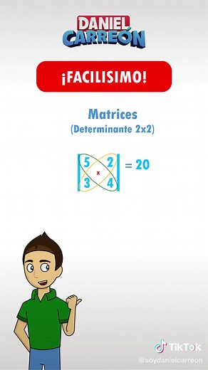 Ejercicios Prácticos de Matrices y Determinantes