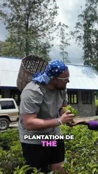 At the heart of the Milia Matcha business