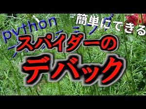 spyder を使用したデバックの方法について 以下の関連動画あります 音声リアル 全音素学習 音声認識 学習編 簡単にできる python ｐytorch プログラミング