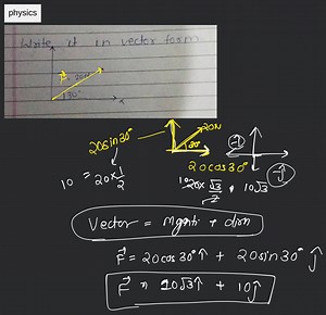 Write it in vector form... | Filo