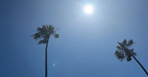 Shielding Your Skin: The Importance of Sunscreen Protection