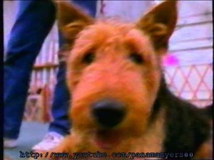 Animal Planet Commercial 1998