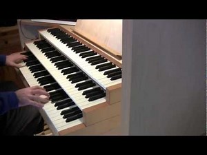 Joy to the world (Christmas carols, arranged for organ by Luca Raggi)