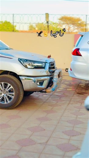 اوعا من رجوع 😁#جخو_الشغل_دا،يا،عالم➕_♥️_📝