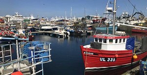 SCOTTISH FISHERIES MANAGEMENT PLANS