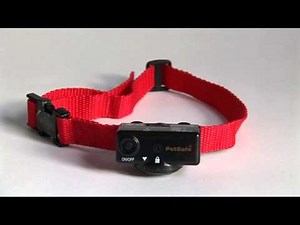 Collier Anti-aboiement Petsafe Bark Control