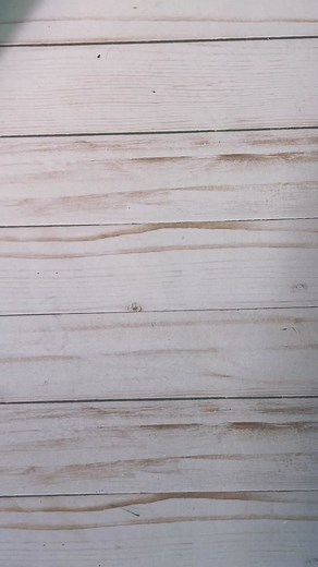 DIY Paper Roll Easter Chick Craft for Kids