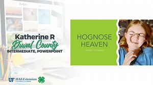 15 reactions · 3 comments |  Congratulations to these talented #Florida4H state graphic design contest winners! These youth submitted graphics in the following categories: brochure, flyer, PowerPoint and other. | Florida 4-H Youth Development Program | Facebook