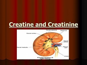 Creatine and Creatinine - SlideServe