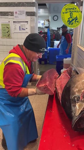 Sydney Fish Market on TikTok