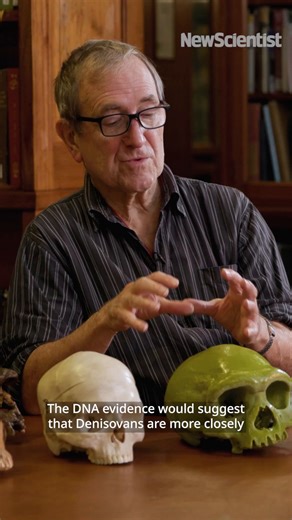 Denisovans are more closely related to Homa sapiens Genetic data often suggests that the divergence between us and Neanderthals and Denisovans is possibly 600,000 years ago. But for Paleoanthropologist Chris Stringer, new DNA evidence pushes that back to at least a million years and changes our family tree. Tap link to watch the full interview: https://youtu.be/i3zql33Lg6Q #denisovans, #human evolution, #humans, #DNA | New Scientist