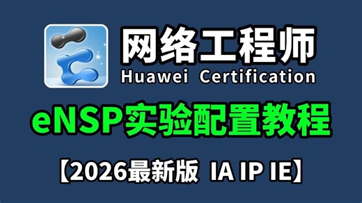 【最新版】B站最详细的eNSP实验配置全套保姆级教程，零基础入门到精通，全程干货无废话，允许白嫖，拿走不谢！（附ensp实验教程分享）