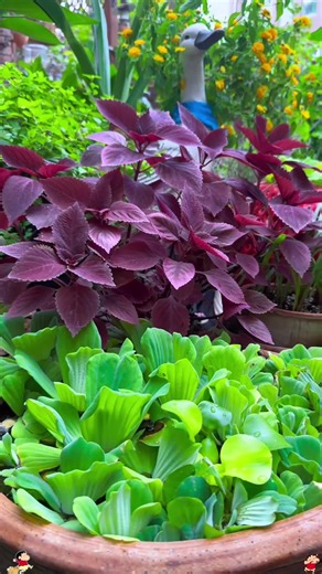 Indoor Plant Growth Light, USB Powered LED Full Spectrum Plant Light, Height Adjustable LED Plant Light with Dimming Brightness