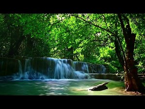 Beautiful Forest Waterfall: 10 Hours of Soothing Waterfall White Noise